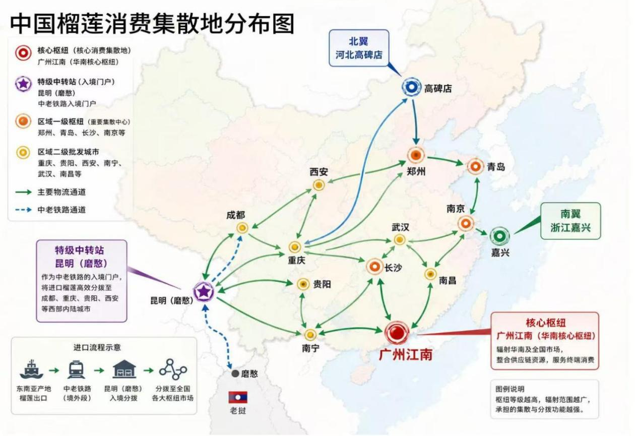 一颗榴莲的“跨国之旅”:藏在“榴莲自由”背后的中国壹定发官网实力